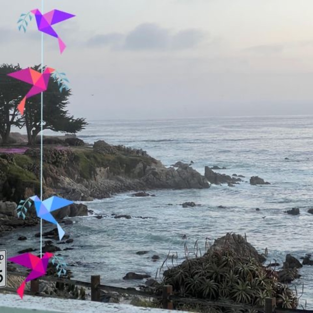 Meet your Posher, Judy